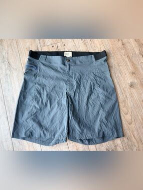 Alpine Parrot Men's Gray Performance Shorts Size 3